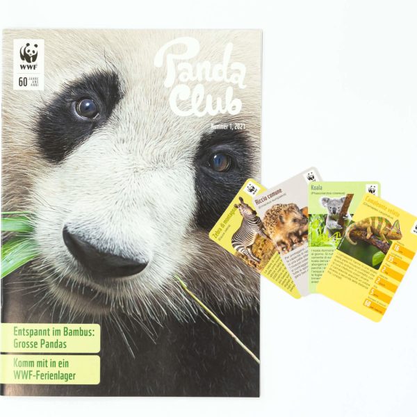 Cover Mit Karten_Hintergrundbild